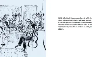 Princezna a slunce svit - vydej s námi knihu o uzdravování z toxických vztahů.