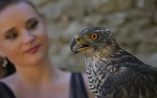 Videoklip k písni Holka od koní – pomozte mi být vidět a slyšet