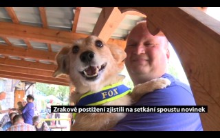Canisterapie CANTES v krajích ČR jako sociální rehabilitace