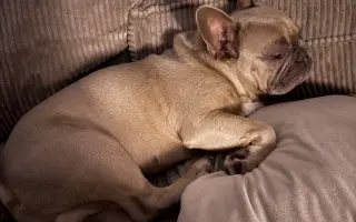 Archie bojuje. A my s ním ♥️