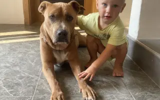 Paliativní péče a poslední týdny pro Huga s nádorem na srdci