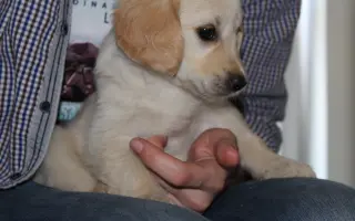 Za každé další ráno s Daisy 🐾