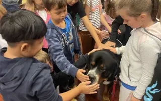 Pomozte s vybavením pro Nadační fond Canisterapie
