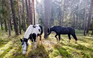 Tami ❤️ a její léčba, která nebere konce