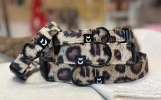 Z lásky k pokožce: Pomozte zrození ROSTLINKY 🌱