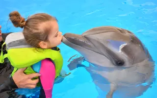 Pomozme Karolínce udělat první krůčky