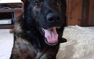 Pomoc Furině v boji s lupusem (SLE)