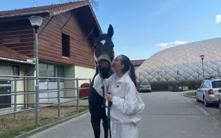 Pomozte zachránit Gryffiho život