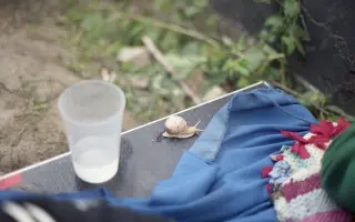 Podpořte vydání autorské knihy AND THERE WAS MORNING, THE SECOND DAY