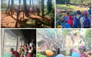 Stálá podpora pro děti se speciálními potřebami – nová posila do týmu Oddechu