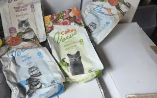 Prosba o příspěvek na nákup krmiva a steliva pro kočičky z Píšánku