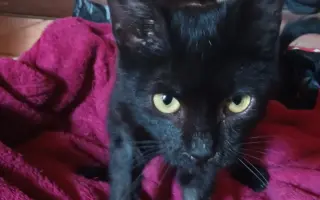 Mia bojuje o návrat do života po srážce s autem