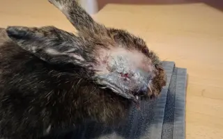 ❤️ Pomozte Farmě Duběnka zůstat místem pro děti i zvířata