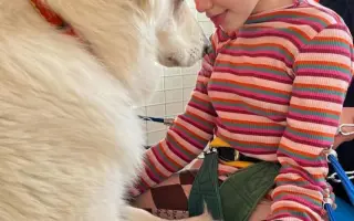 Naděje pro Elišku na pobyt v Physio Canis 💙