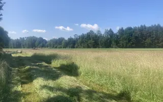 Záchrana srnčat a dalších zvířat před jistou smrtí při senoseči