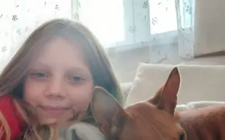 Billinka znovu bojuje o život – pomozte jí ho vyhrát