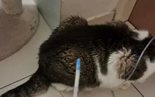 Filípek chce žít: pomoz mu porazit nádor