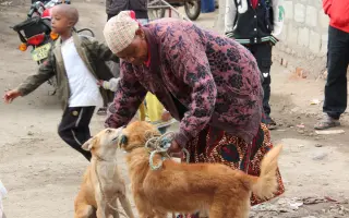 Kastrační mise v Tanzanii / Spay & Neuter Campaign in Tanzania