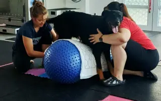 Mladou fenku srazil vlak, pomožme jí k pohybu rehabilitací.