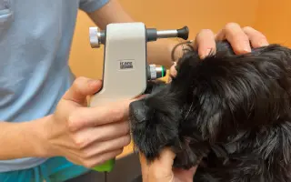 Pomohli jste Medvídkovi Pú k lepšímu zraku