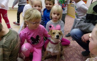 Canisterapie CANTES v krajích ČR jako sociální rehabilitace