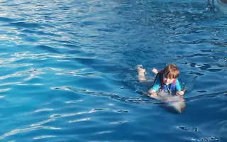 Delfínci pro Marečka