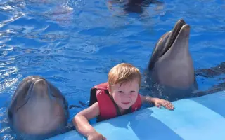 Delfínci pro Marečka