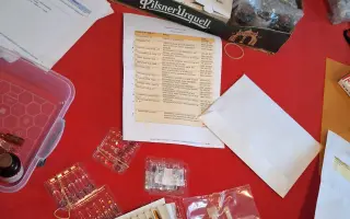 Pomoc pro nepohyblivou mámu Radku s nesnesitelnými bolestmi