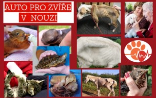 Bezpečné auto pro záchranu zvířat v nouzi