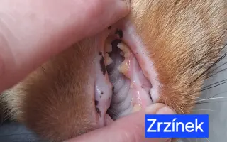 9 nalezených Lásek