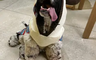 🐾 Pomozme Dubínkovi vyhrát svůj boj