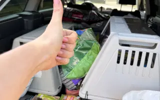 Pomozte nám pořídit útulkové auto pro převozy zvířátek v nouzi