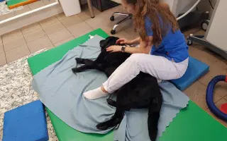 Bezbolestné stáří pro Fiďouška
