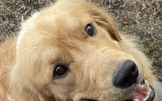 Pomozte Woodymu žít plnohodnotný život <3