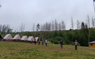 Stromy dětské tábořiště Údolí Mohykánů - nahradí vykácené stromy novými :)