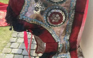 Pomoc rodině Martykánové na rekonstrukci a obnovu krojů