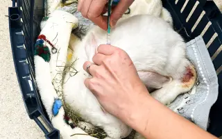 Pomůžete Arymu zachránit život?