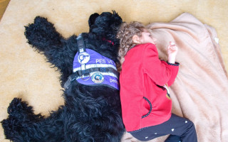 Rafi - asistenční canisterapeutický pes pro Karolínku