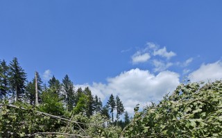 ZACHRAŇME SINGLETRAIL MORAVSKÝ KRAS JEDOVNICE