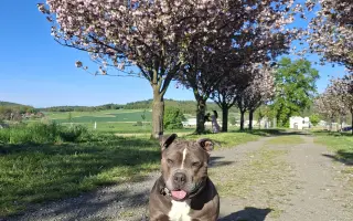 Pomozme Ele opět poznávat svět