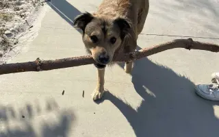 Pomozte Mii znovu vidět svět 🌸