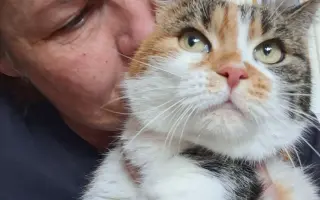 9 nalezených Lásek