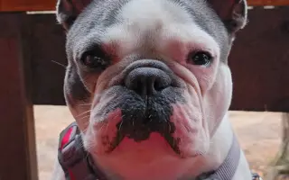 Zachráňte Marilyn bojující s rakovinou