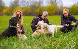 Pomozte nemocnému Maxovi a 14 drobečkům z velkomnožírny!
