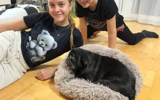 Voříškov přijal 45 nových chlupáčů - pomůžete spolu s námi změnit jejich příběh?