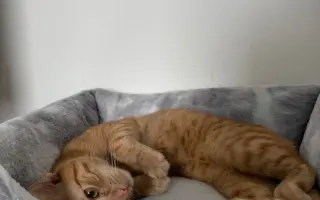 Pomozme Teovi znovu chodit bez bolesti