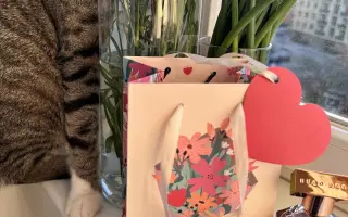 Pomoc pro kocourka Barbose: Boj s náhlou epilepsií