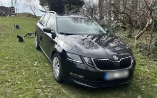 Auto pro útulek
