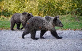 Z nuly zpět za hledáček - aneb nový začátek po velkém pádu
