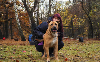 Pomozte rozšířit psí depozitum Litvínov